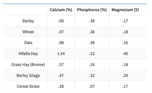 Average Composition of Selected Feedstuffs in Saskatchewan