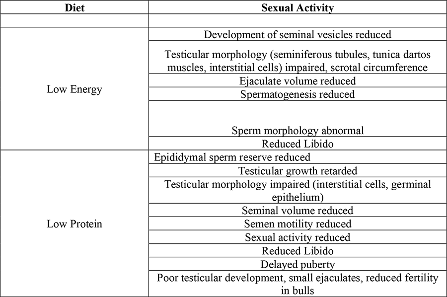 Ceres Industries - Effects of different levels of energy and protein on the reproductive traits and sexual activity of farm animals