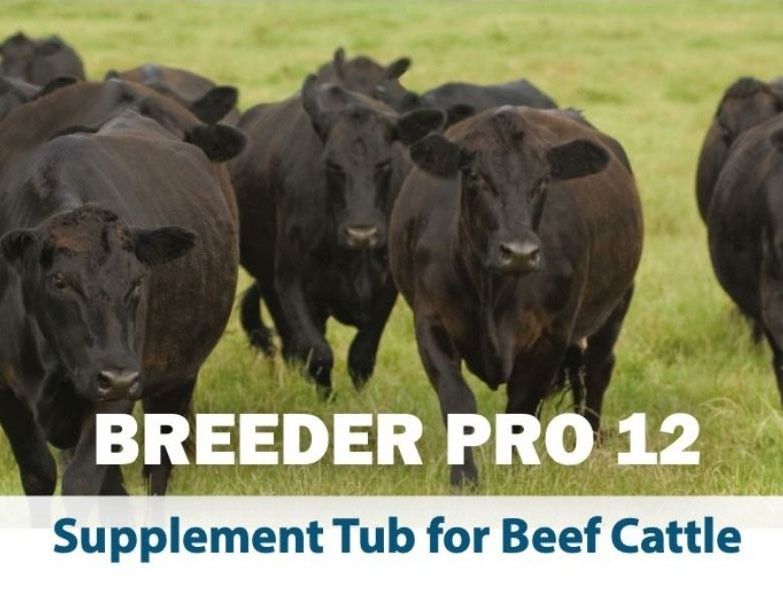 Breeder Pro 12