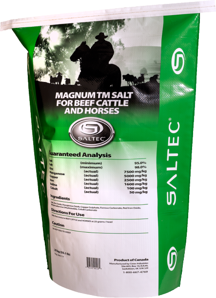 Magnum TM Salt for Beef Cattle and Horses