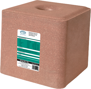 Magnum TM Salt for Beef Cattle and Horses