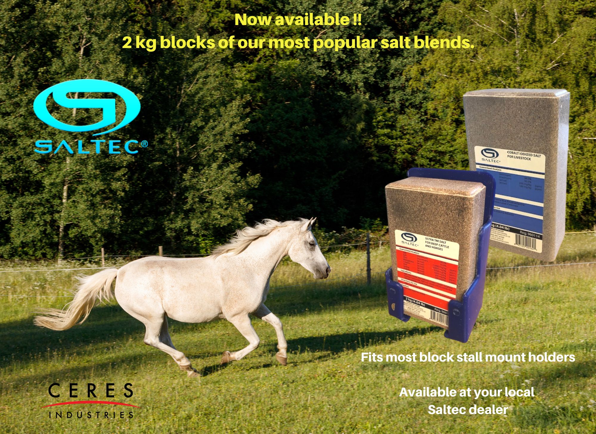 Now Available: 2kg blocks of Our Most Popular Salt Blends