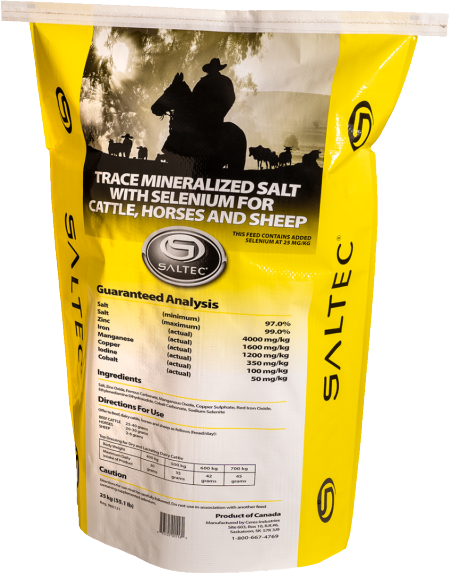 Trace Mineralized Salt with Selenium for Beef Cattle