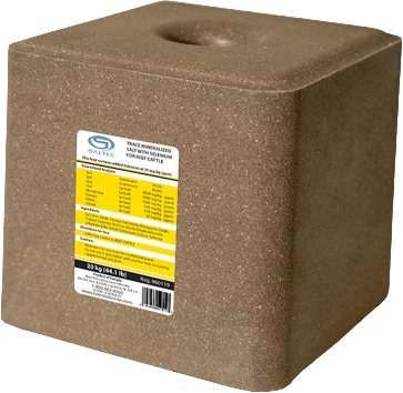 Trace Mineralized Salt with Selenium for Beef Cattle